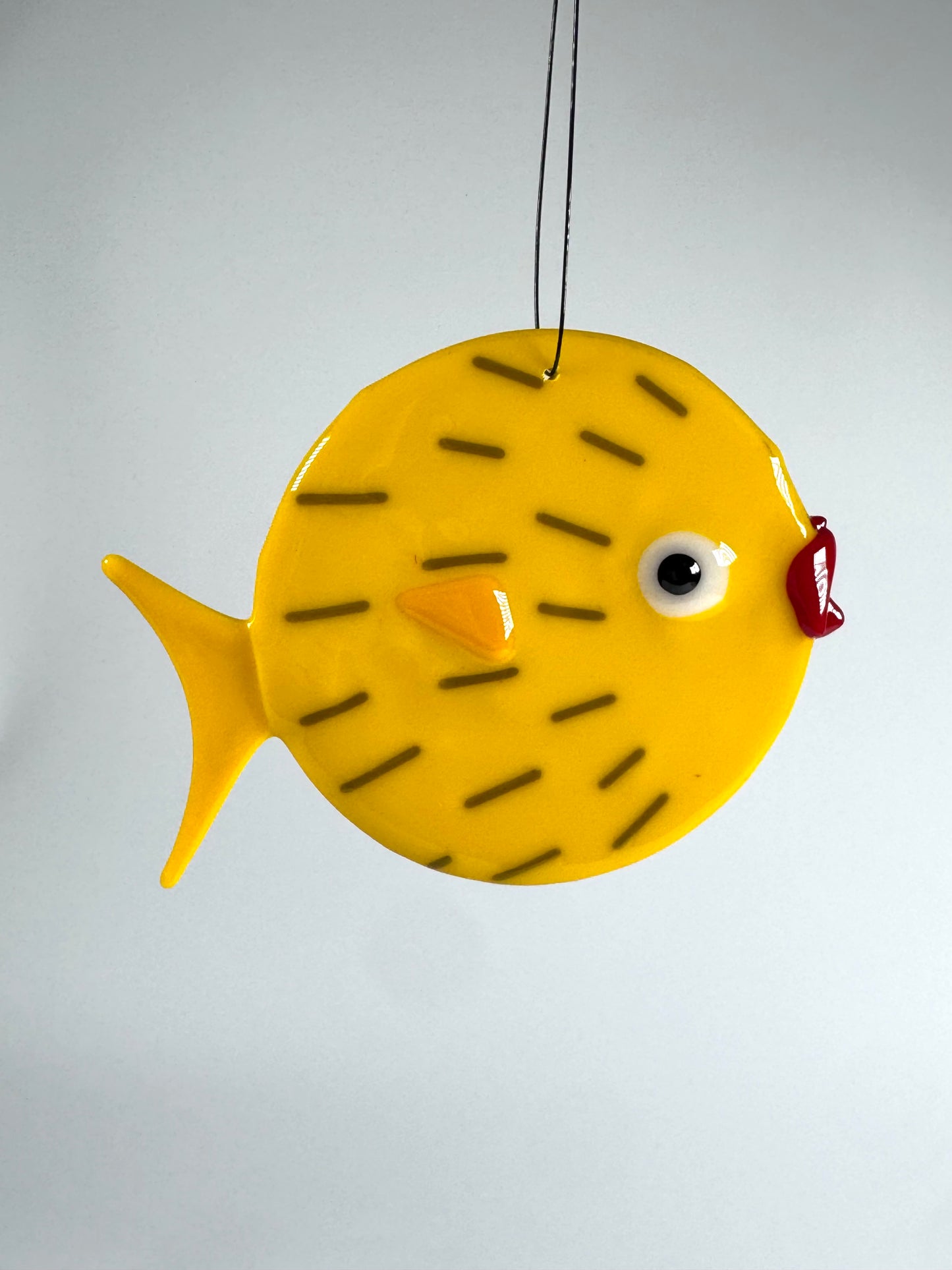 Blow fish
