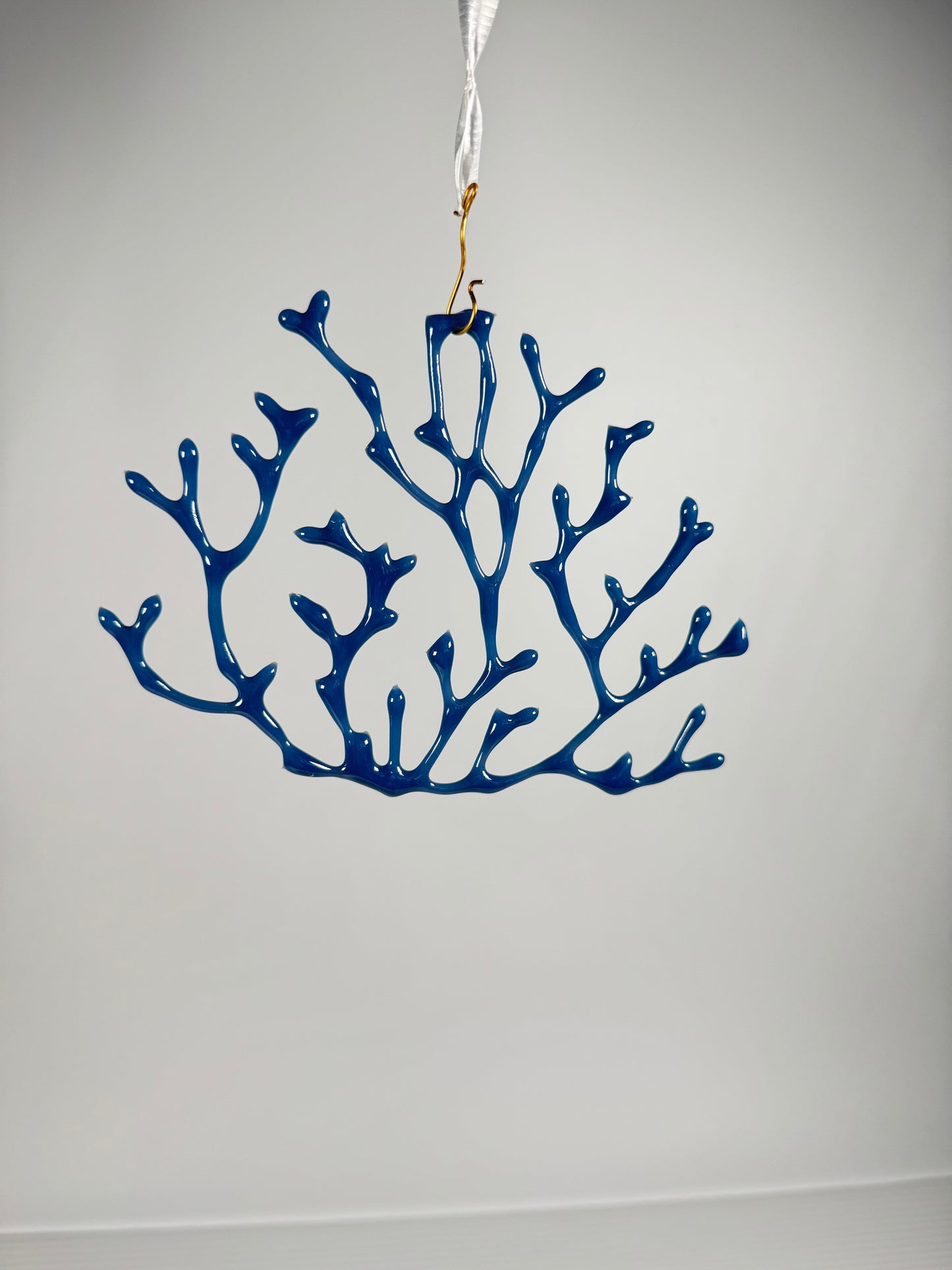 Coral hanging