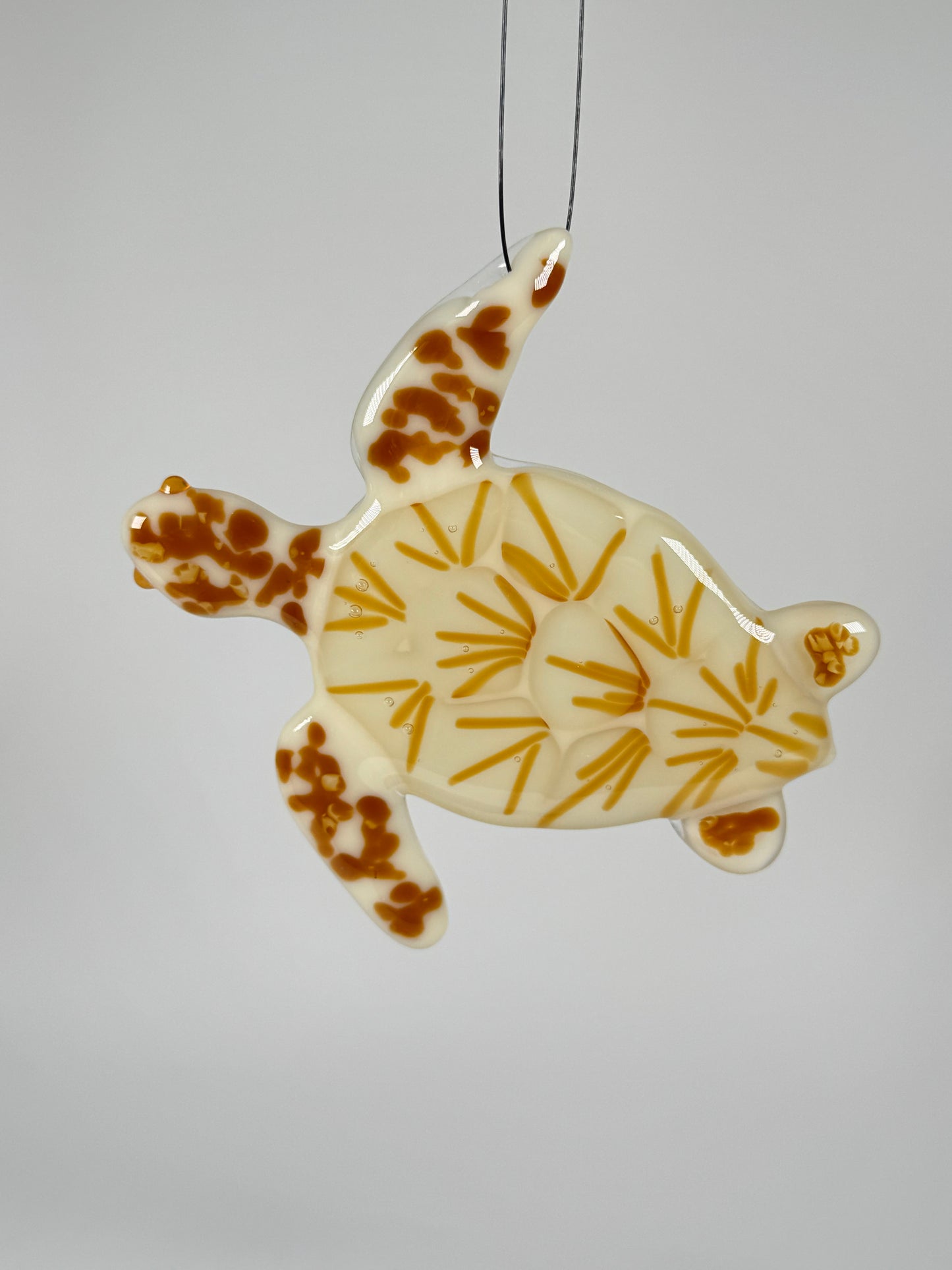 Sea Turtle