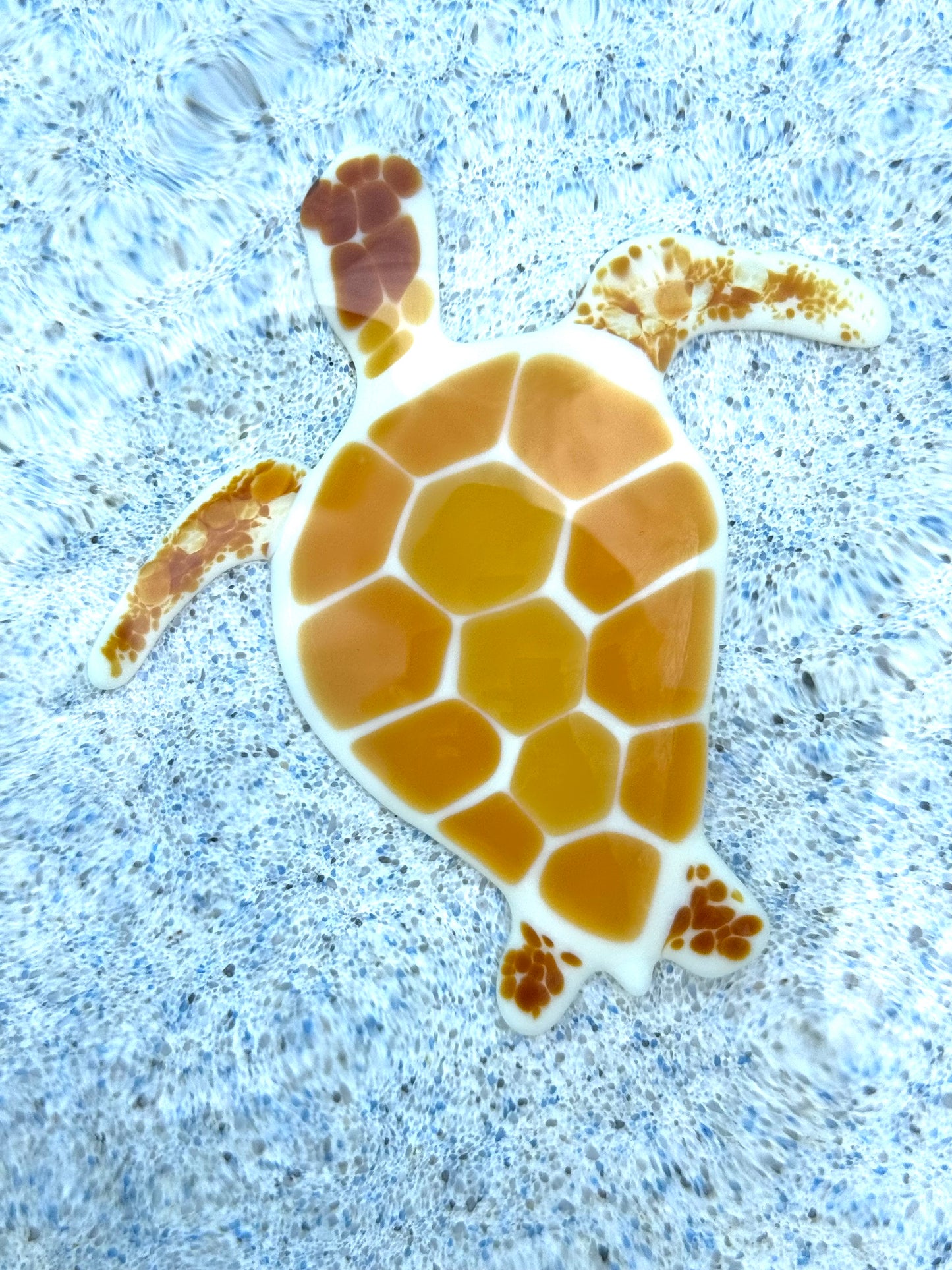 Sea Turtle
