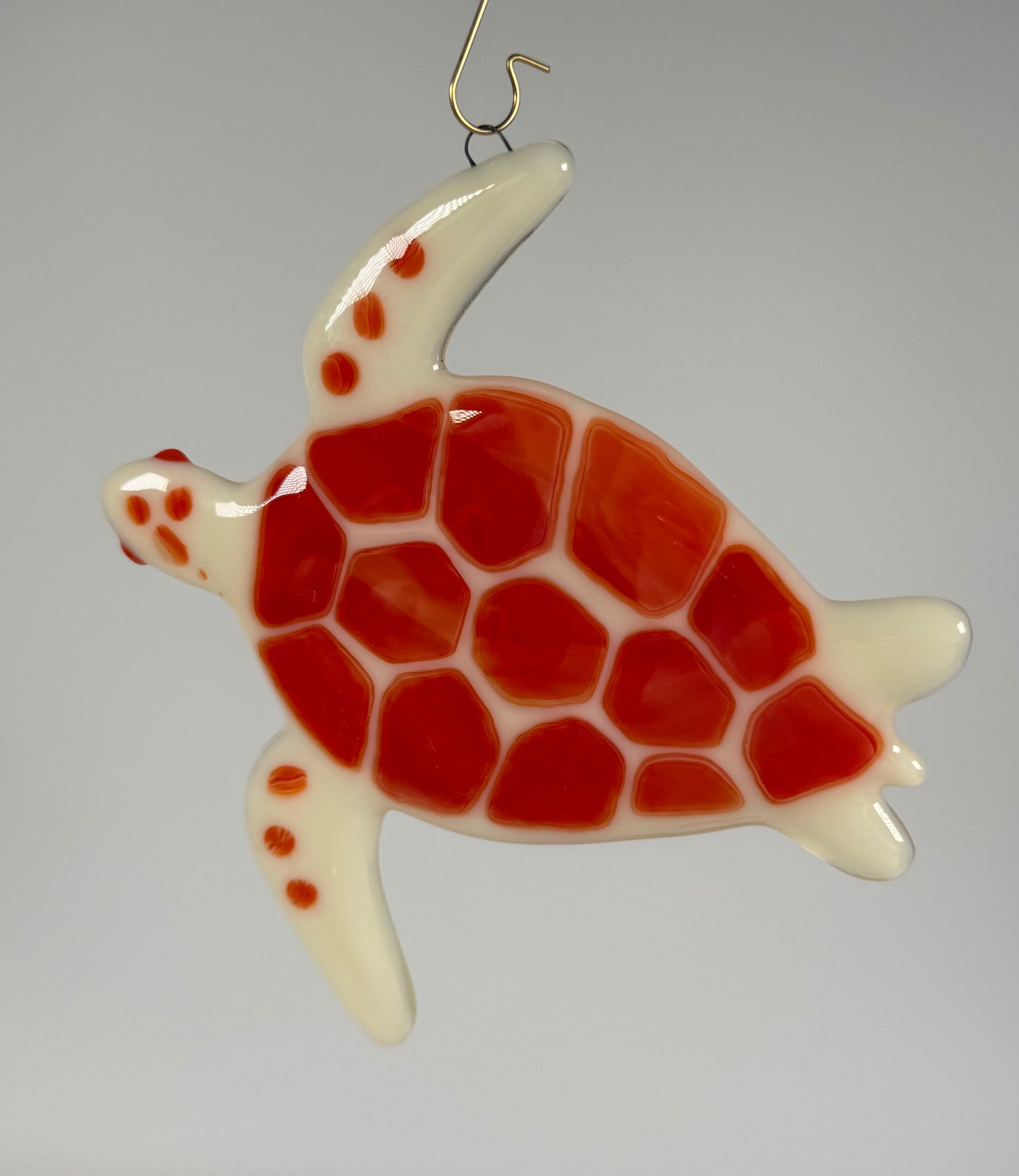 Sea Turtle
