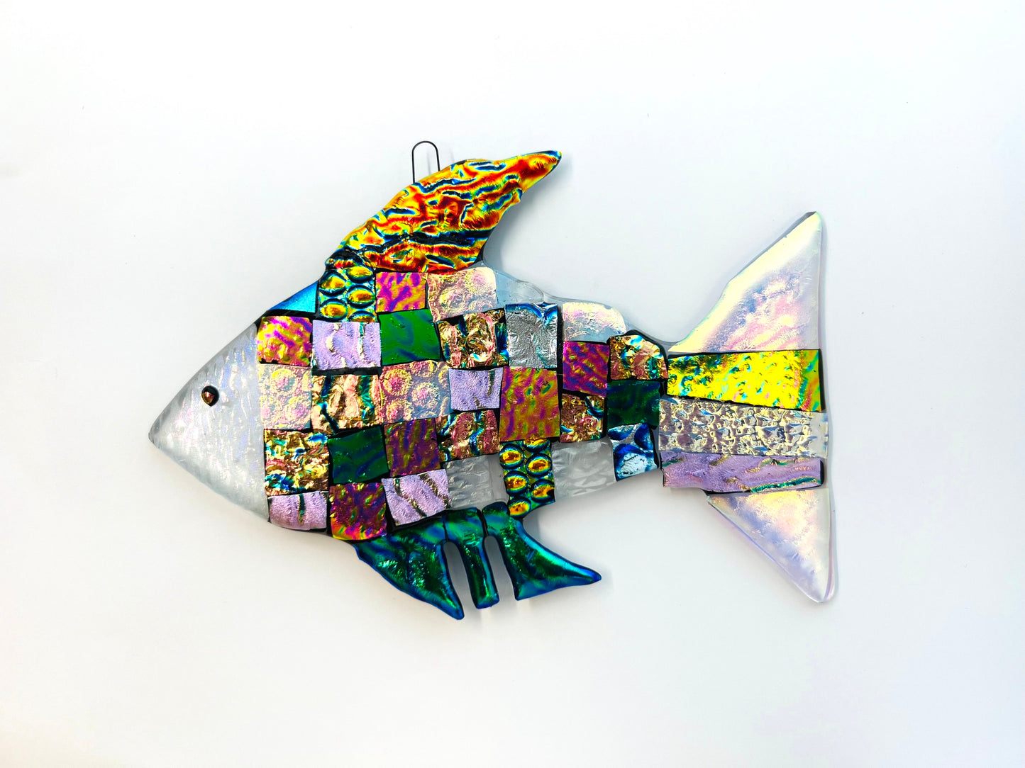 Rainbow fish
