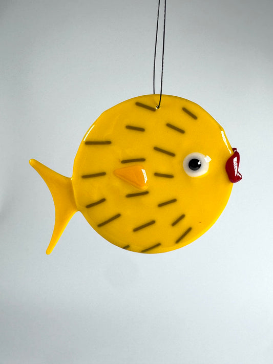 Blow fish