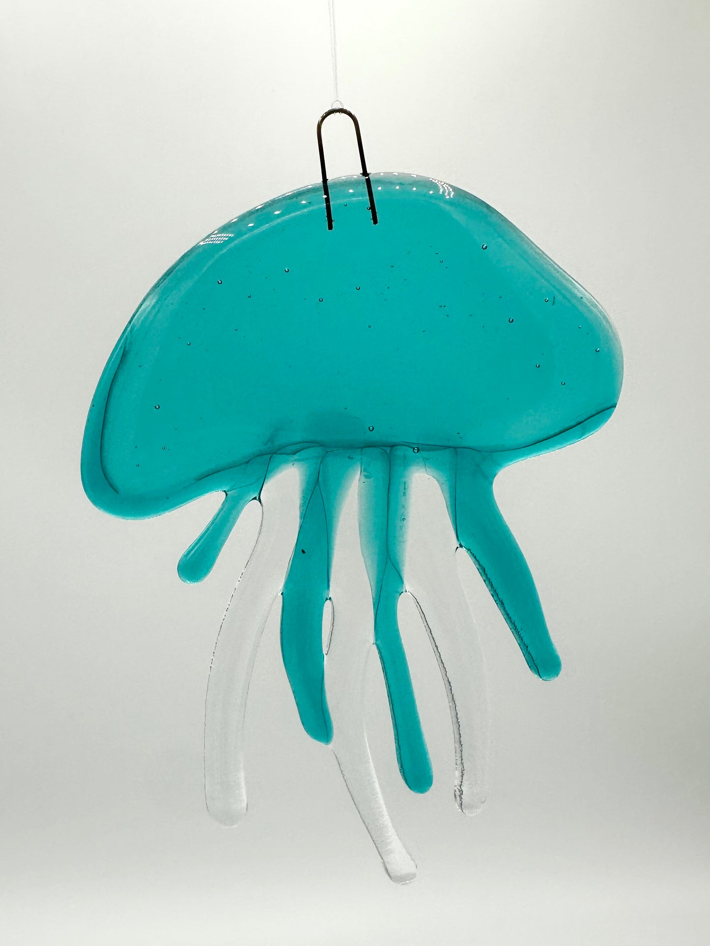 Medium Caribbean Jellyfish