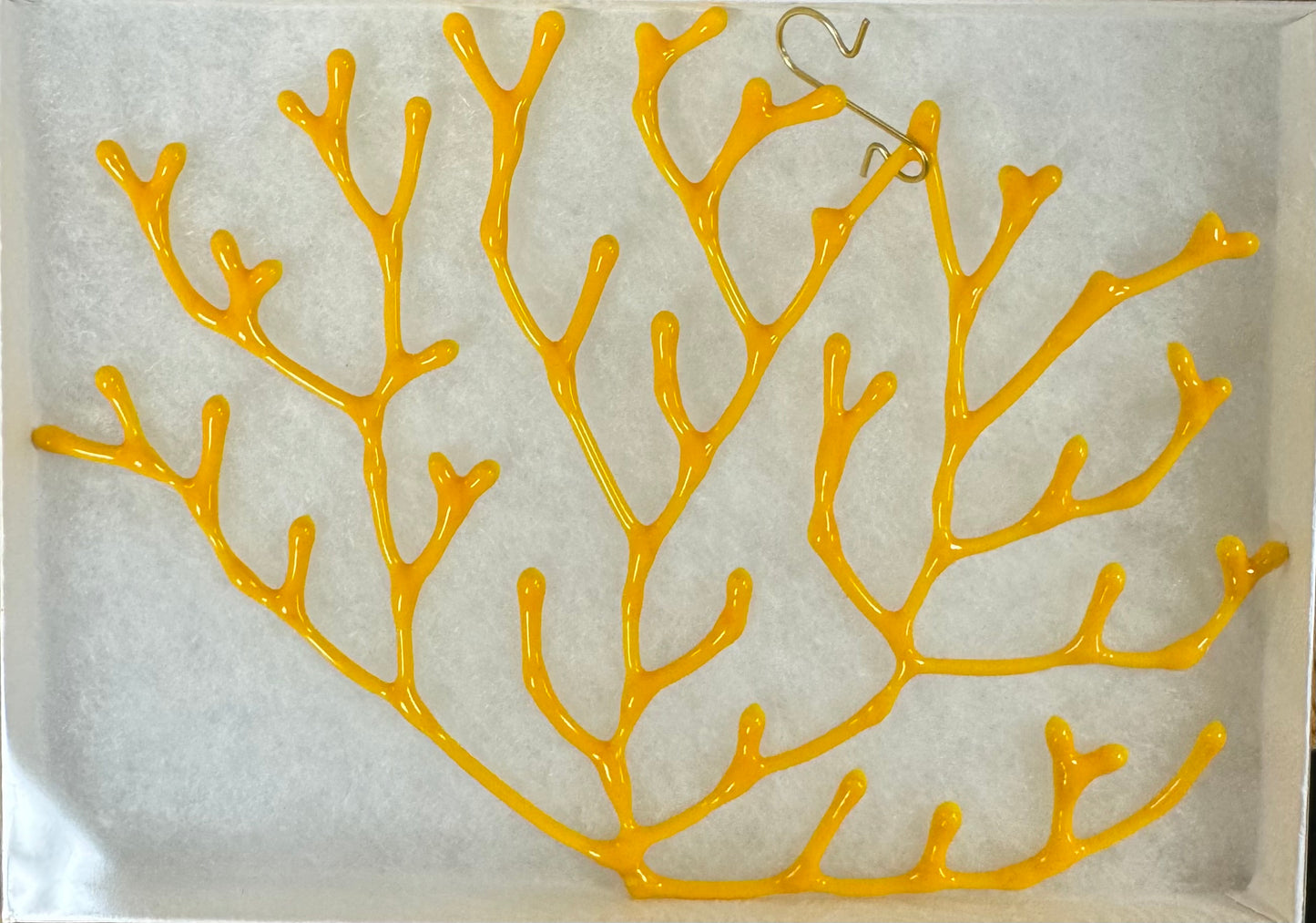 5” Coral