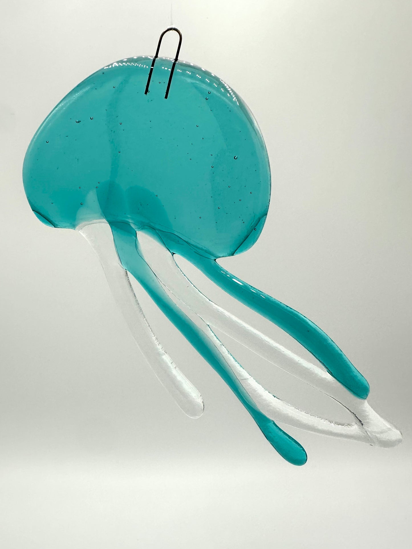 Medium Caribbean Jellyfish