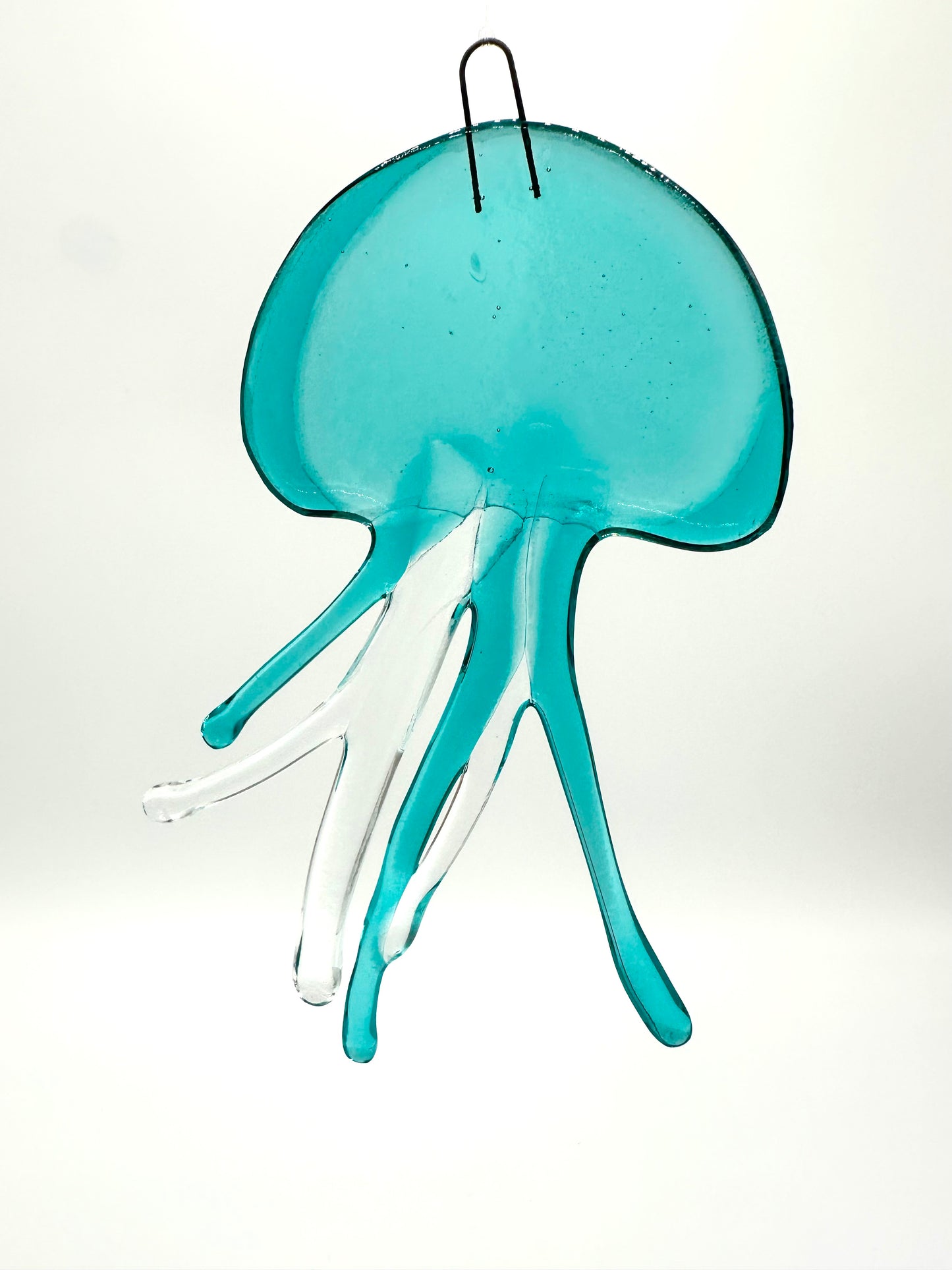 Medium Caribbean Jellyfish