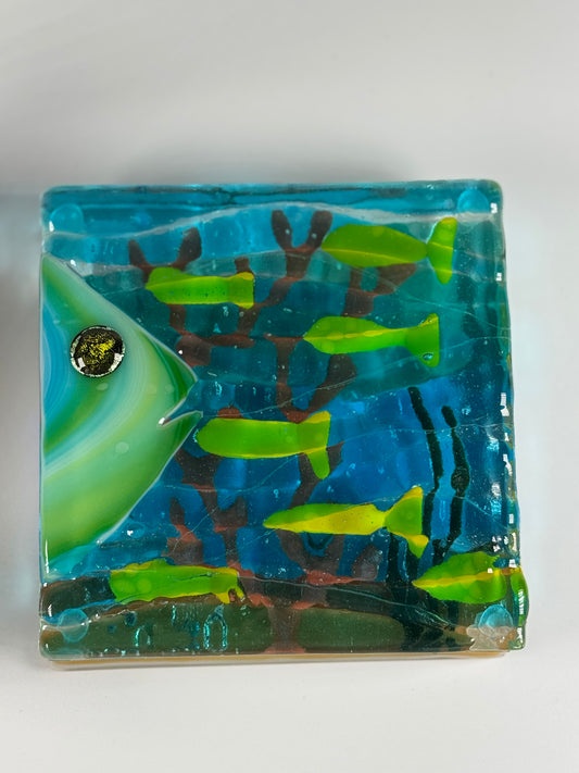 Aquarium coasters