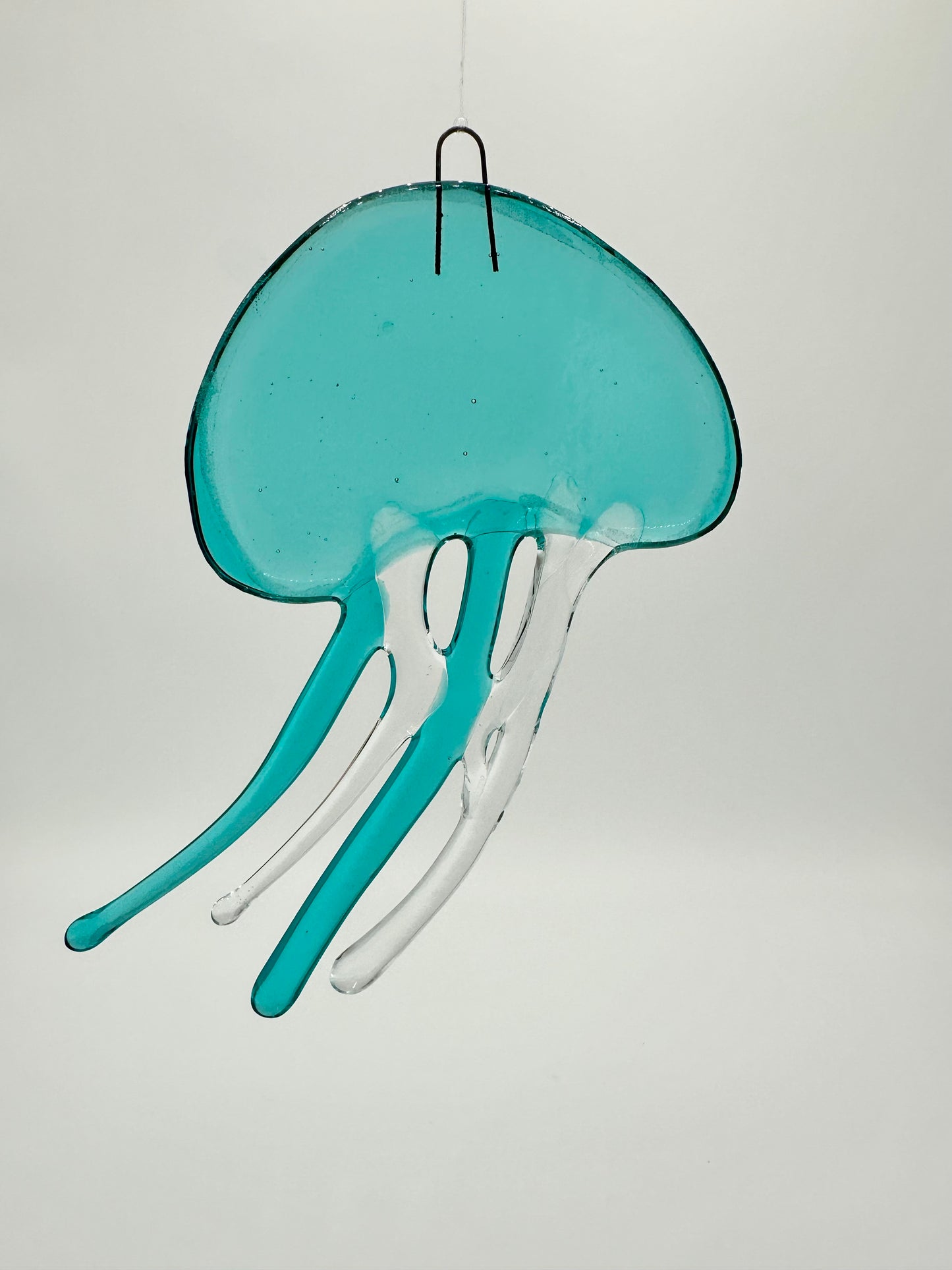 Medium Caribbean Jellyfish