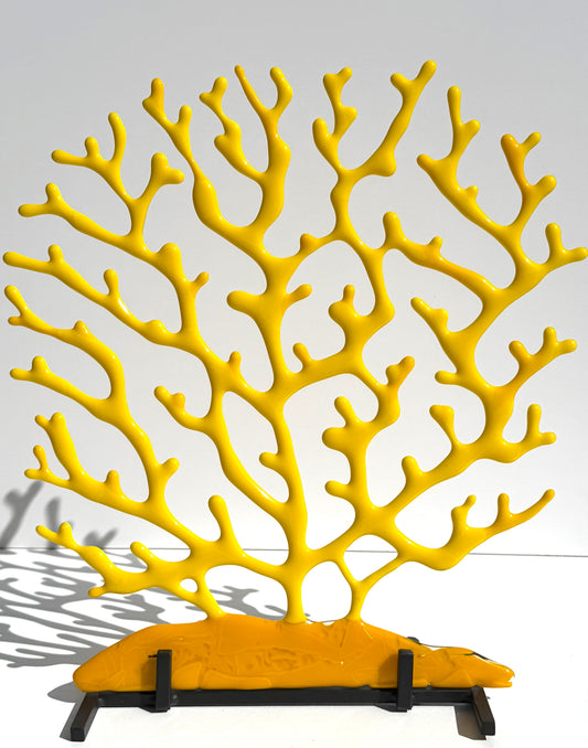 Large Coral