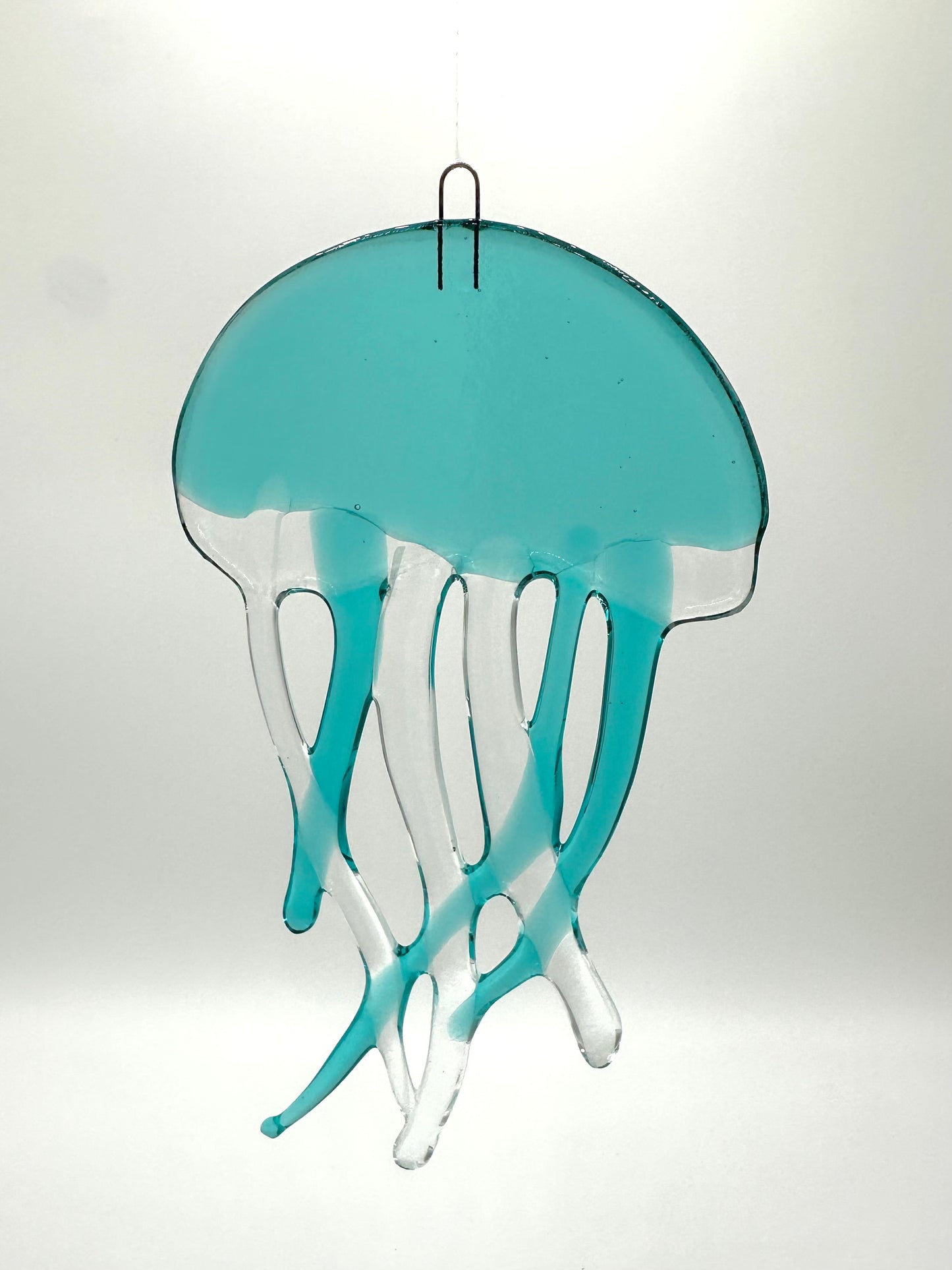 Large Caribbean Jellyfish