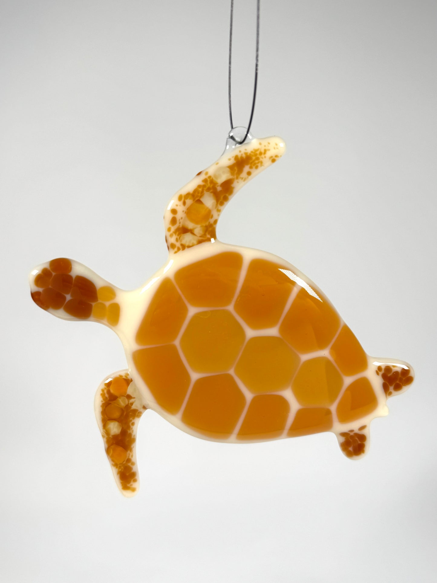 Sea Turtle