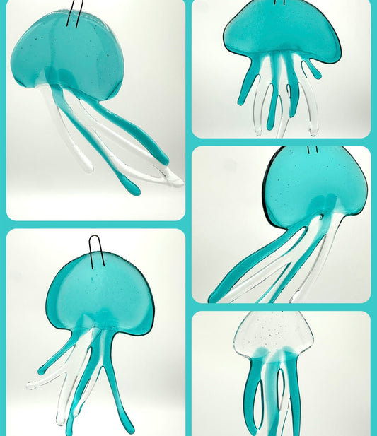 Medium Caribbean Jellyfish