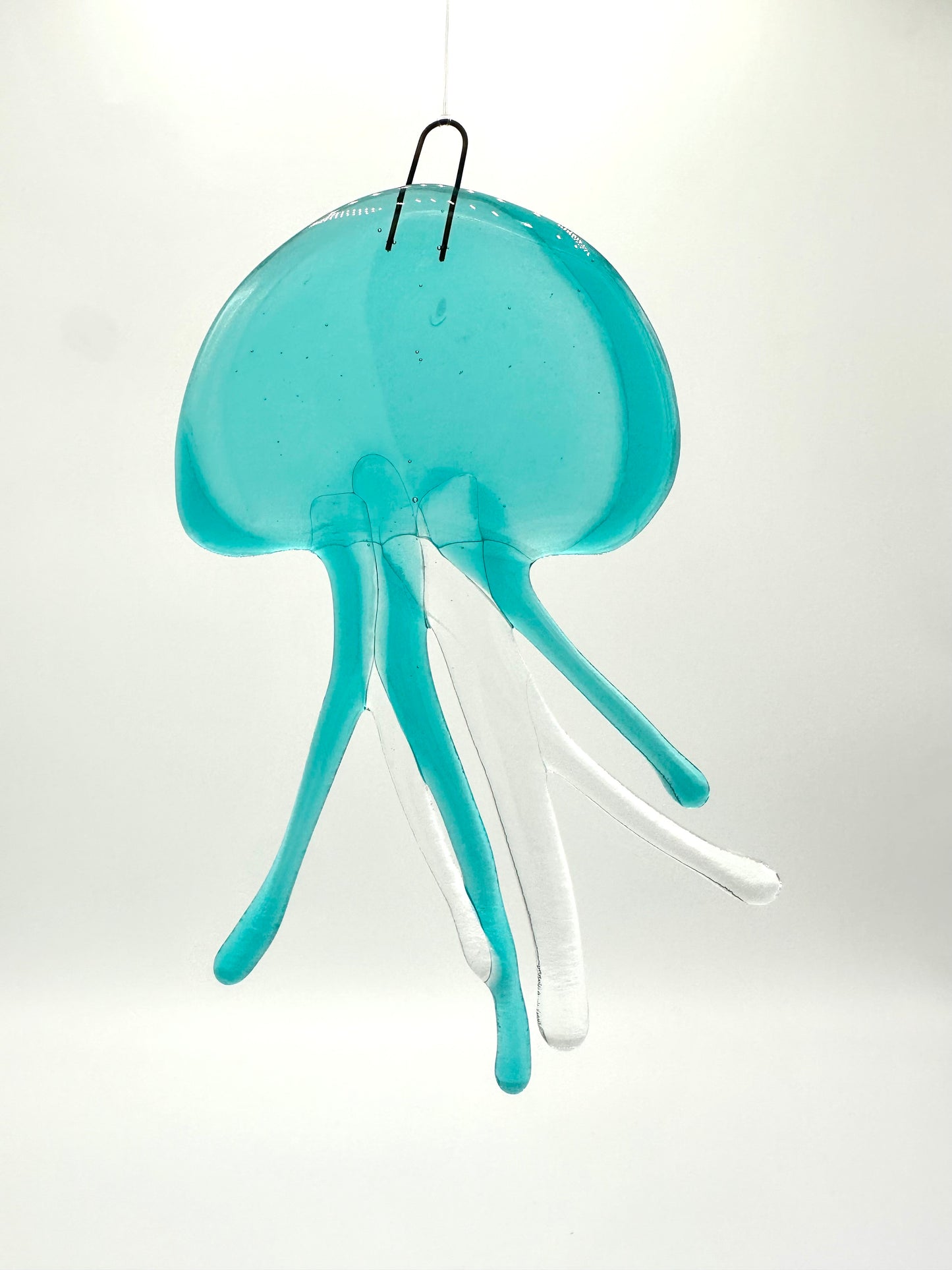 Medium Caribbean Jellyfish