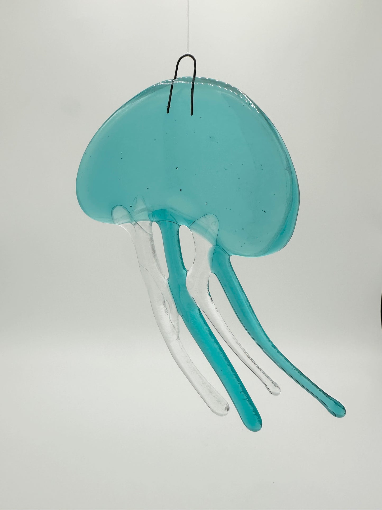 Medium Caribbean Jellyfish