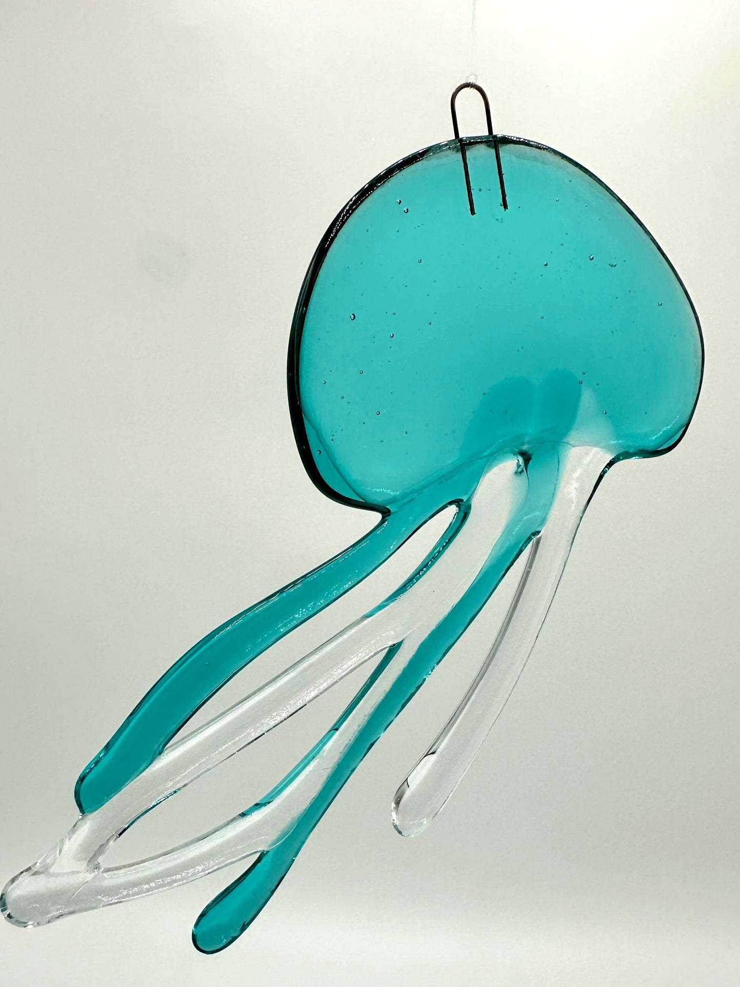 Medium Caribbean Jellyfish