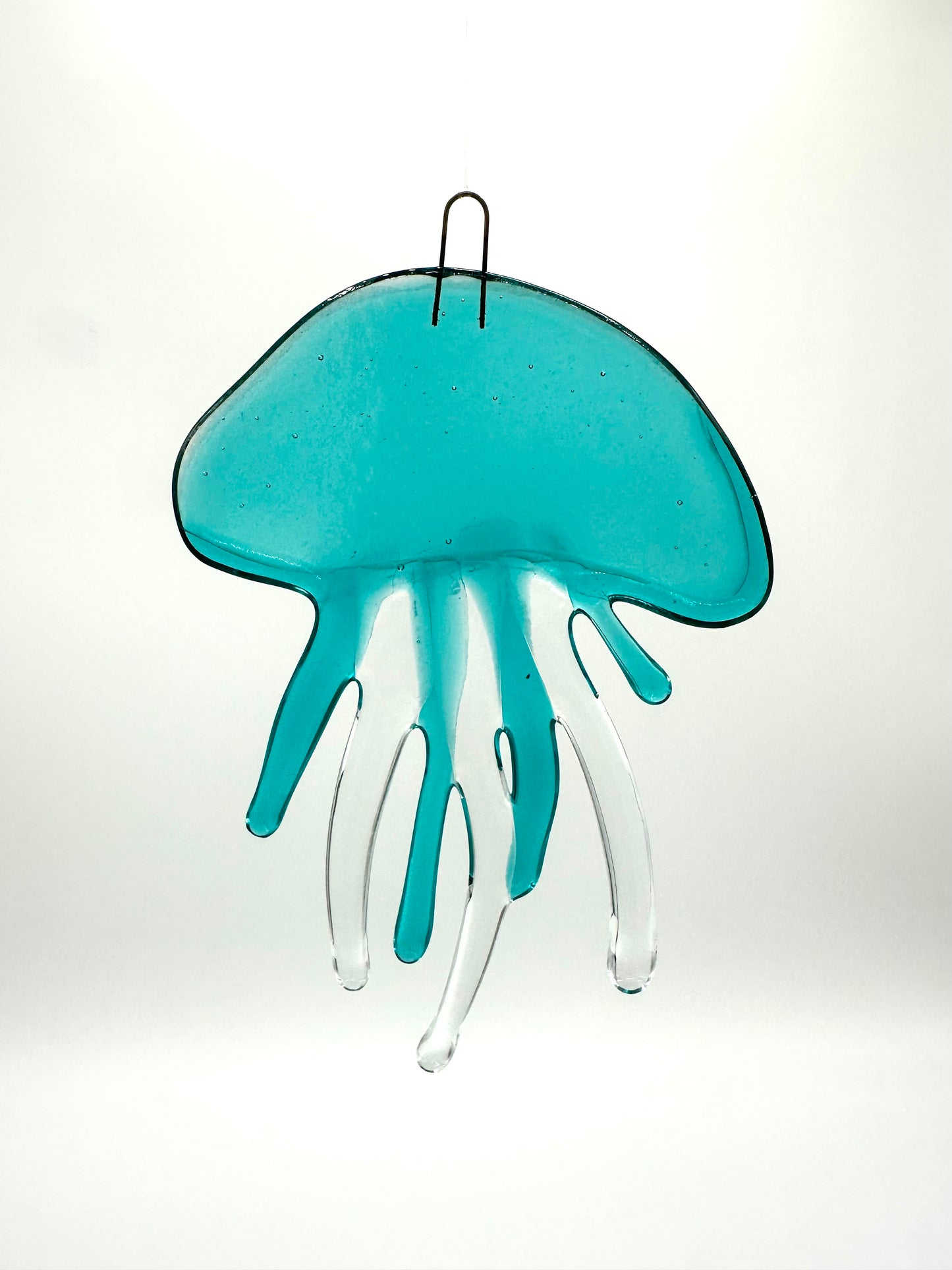 Medium Caribbean Jellyfish